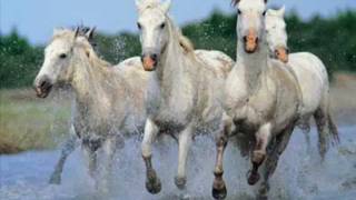 Video de Quartz 289  &quot;  Morgane de toi  &quot;   Renaud  . 1983