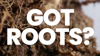 Call Roto Rooter for 24/7 Services!