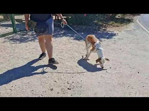 Vídeo de KARMELA