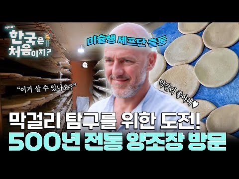 막걸리를 직접 빚는다?! 500년 전통 양조장 찾은 미슐랭 셰프들