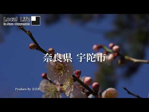 【空から見た奥大和】宇陀市