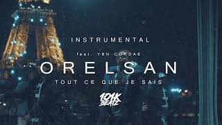 🔥 OrelSan - Tout ce que je sais (feat. YBN Cordae) INSTRUMENTAL (101K Remake) 🔥