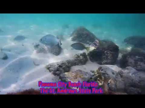 Snorkeling Panama City Beach Florida The St. Andrews Jetties GoPro Hero4+ Black