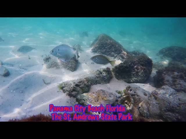 Snorkeling Panama City Beach Florida The St. Andrews Jetties GoPro Hero4+ Black