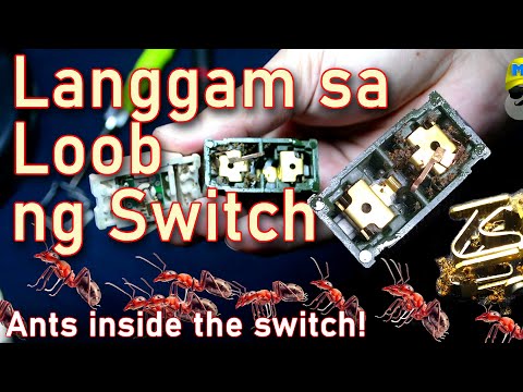 Langgam sa Loob ng Switch | Ants inside the Switch | MT Vlog 001