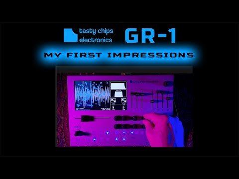 My First Impressions - Tasty Chips GR-1