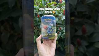 temenin buka mini tin ascended heroes yang covernya Riolu my favorite fighting pokemon ✊🏼🥳