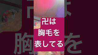 卍は胸毛を表す記号