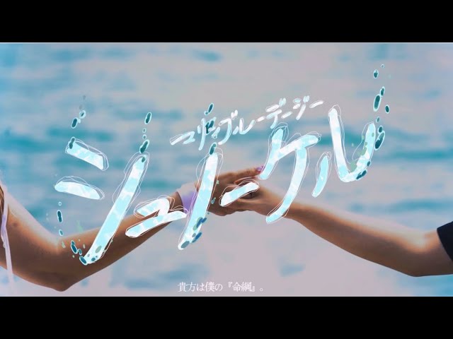 マリンブルーデージー「シュノーケル」