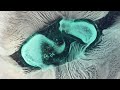Как растворяются таблетки. ВИДЕО