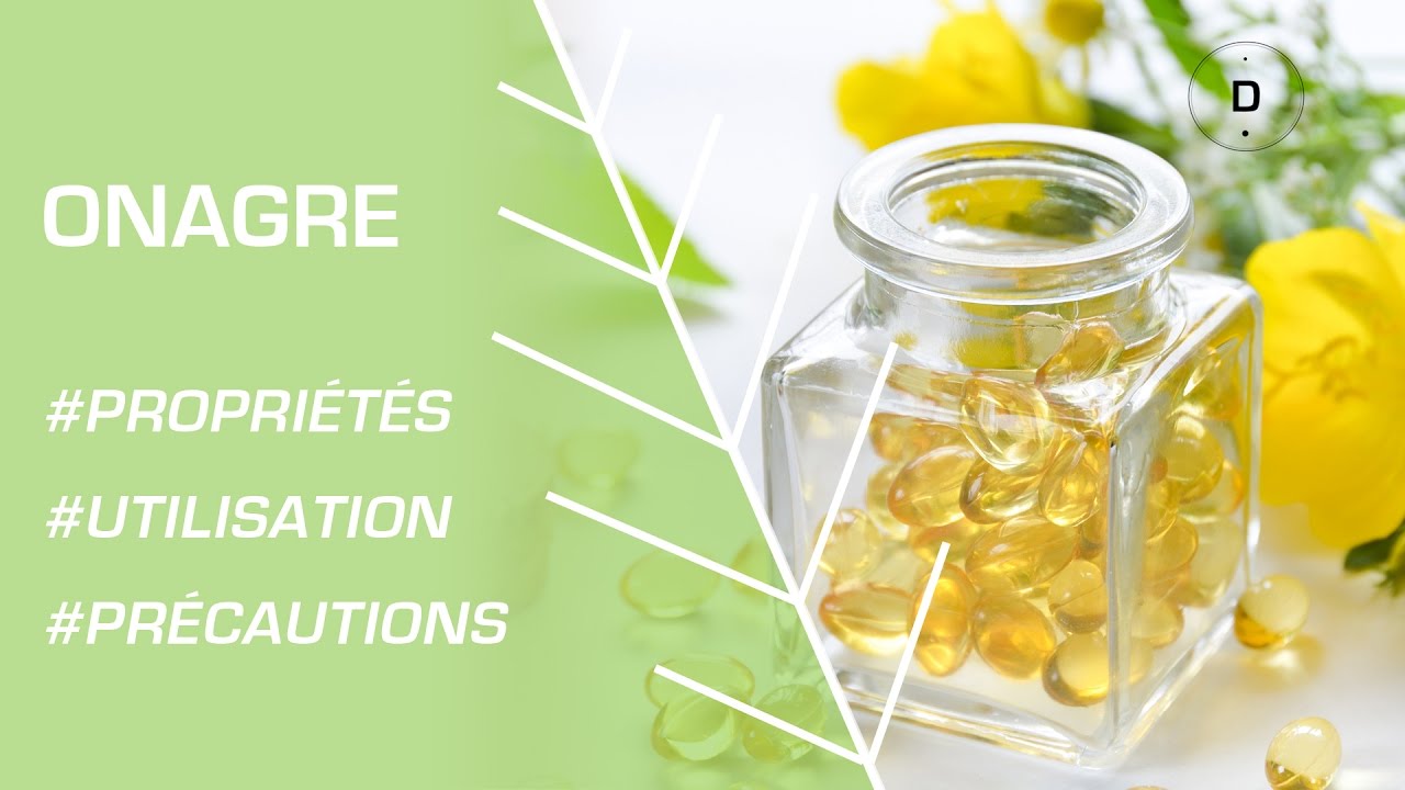 Comment utiliser l’huile d’onagre  Phytothérapie