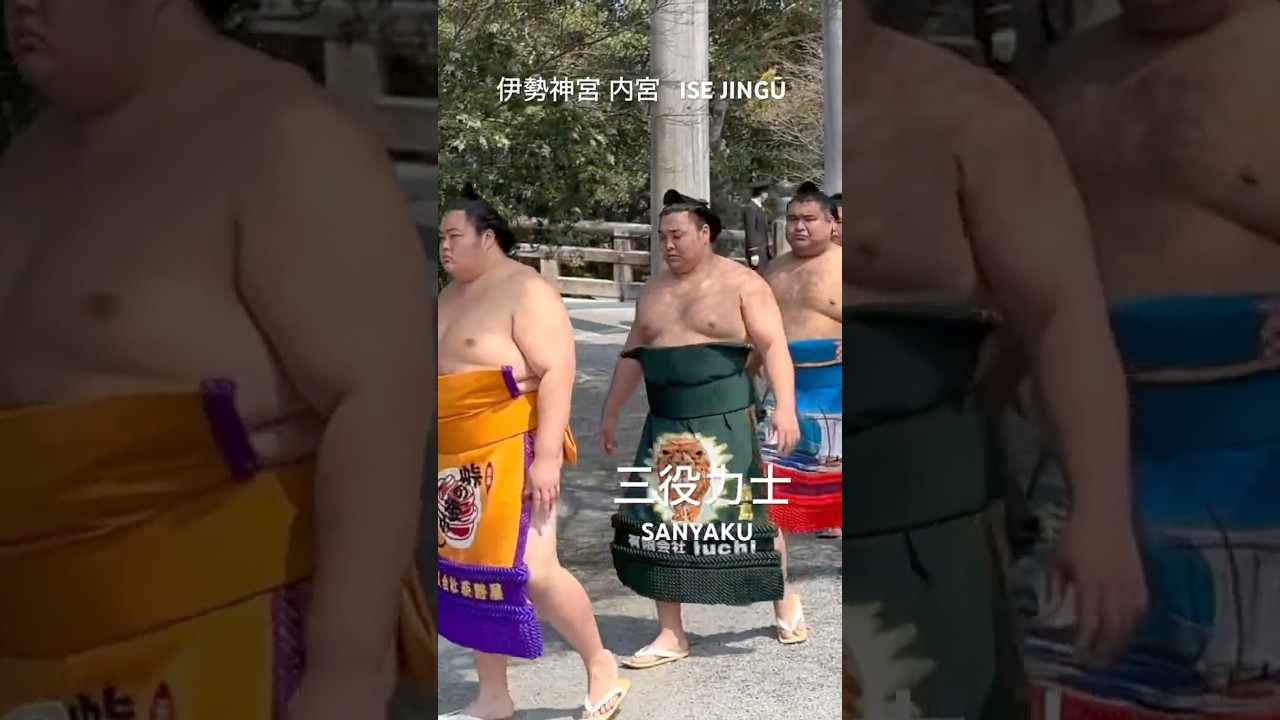 令和8年伊勢神宮 奉納土俵入り• Highest-ranking Sumo ”Rikishi" entering Ise Shrine #shorts #相撲 #伊勢神宮