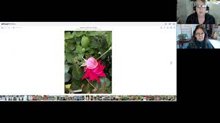 GardenDC Podcast Episode 223: New Plants and Products for 2025 (video version)