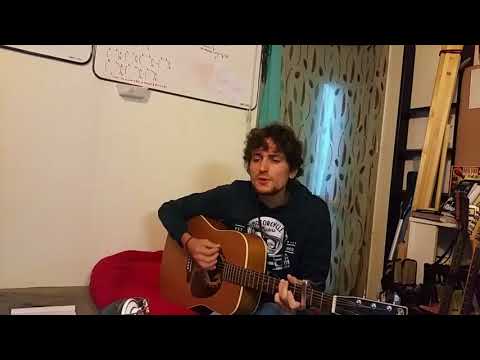 The Cage - Travis acoustic cover
