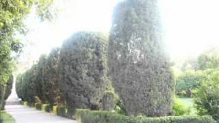 Bebo Norman drifting