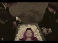 SOPHIA - Strawberry & Lion 
