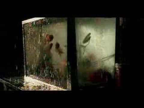 Thumbnail for I Promise video