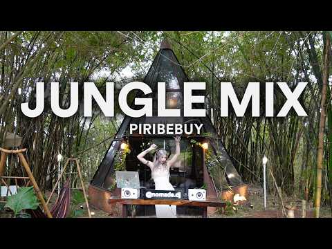 NOMADE set in the Jungle of Piribebuy | Afro + Organic Progressive House DJ Mix