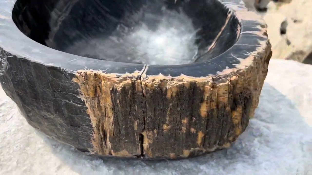 Раковина из окаменелого дерева 30 кг