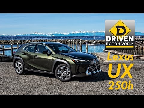 Driven- 2019 Lexus UX 250h Luxury