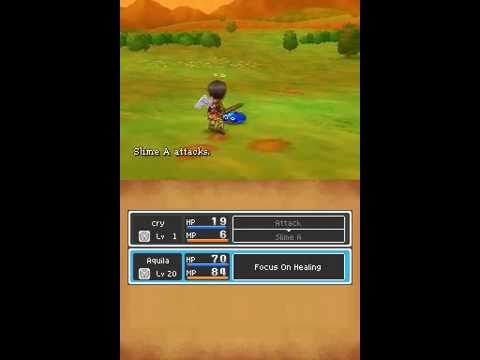 BEST BUG OF ALL TIME DQ9