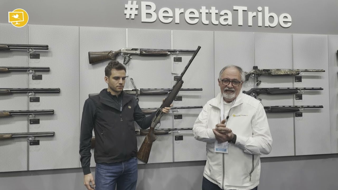 Artículo en vídeo