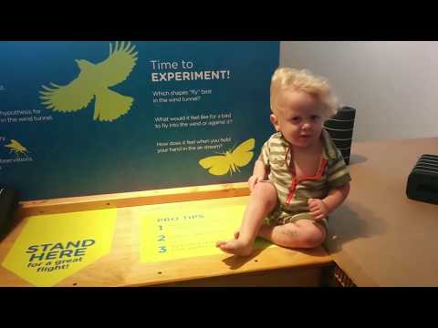 Naughty Babies Trouble Maker