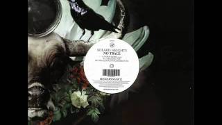 Solaris Heights - No Trace (Original Vox Mix)