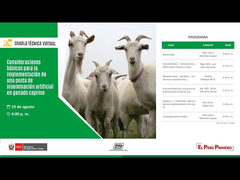 , title : 'Consideraciones básicas para la imple. de una posta de inseminación artificial en ganado caprino'