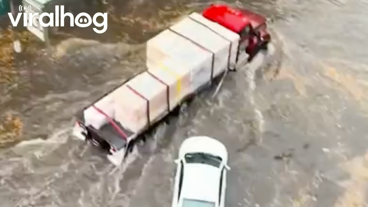 Water Floods Brooklyn Streets in Bed-Stuy || ViralHog