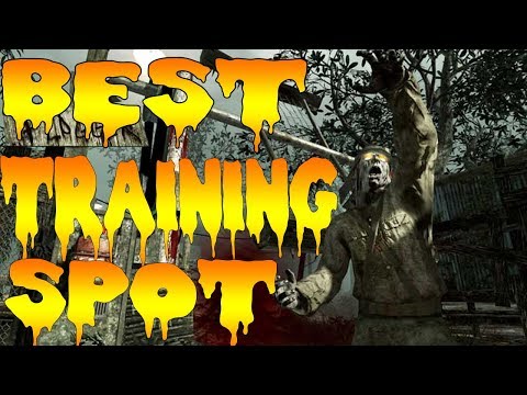 SHINO NUMA BEST TRAINING SPOT! (Bo3 Zombies High Round Guide)
