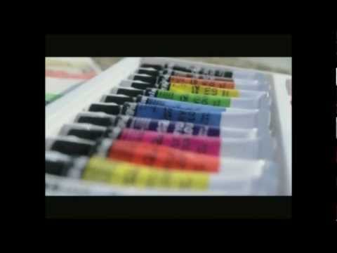 Fauvistes per un dia