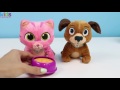 Doc McStuffins Pet Vet Doctor S Bag Playset With Findo Disney Junior Pretend Doctor Toys