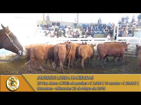 23-05-18 Venta de Vientres - Jauregui Lorda Haciendas - Brandsen