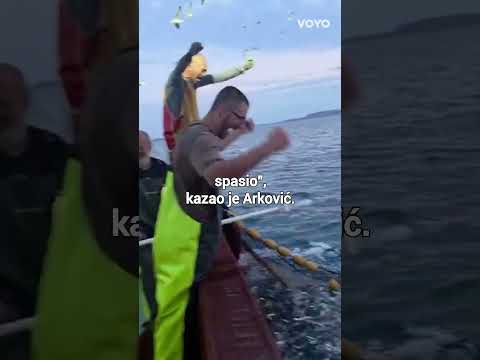 Najbolji video koji ćete danas vidjeti: Ribar kod Primoštena golim rukama spasio dupina