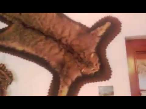 DE VÂNZARE Hotel, Toplița, Harghita, Romania, str. Stejarului nr 74