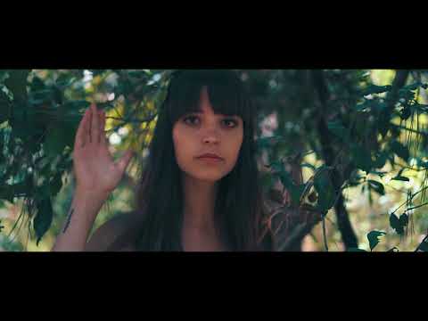 Lazy Haze - vivo feat VACCA,GHILE & LOGE (PROD.MDM)