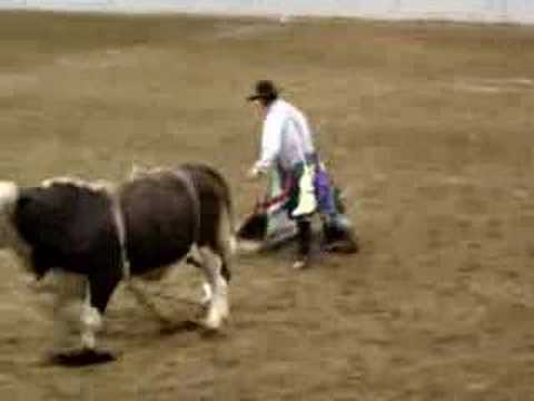 Bull Ride IGRA Finals 2007 - Denver, CO