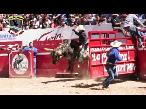 SON LOS DE LA MARCA DEL 50 RANCHO EL VARAL