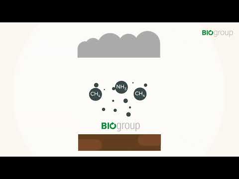 Presentación Biogroup