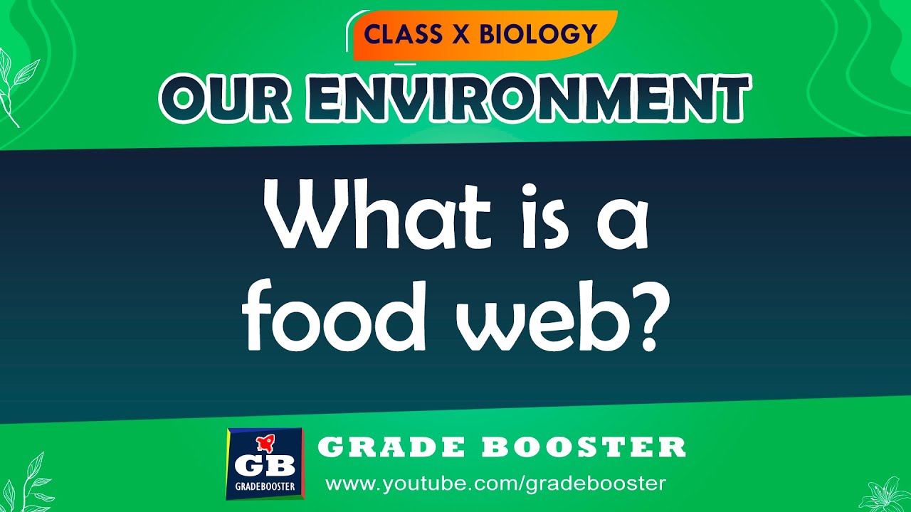 Our Environment | CBSE Class 10 Science (Biology) in hindi | Food chains & Food Web  | NCERT #shorts