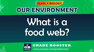 Our Environment | CBSE Class 10 Science (Biology) in hindi | Food chains & Food Web | NCERT #shorts