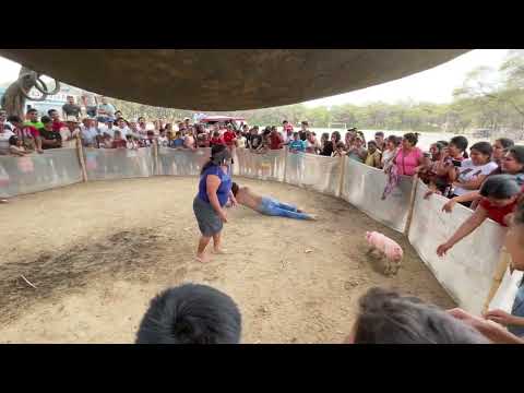 ⚠️Atrapa el chancho y te lo llevas ‼️