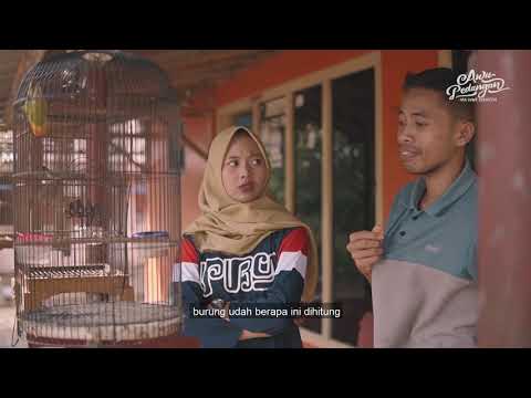 gara-gara-burung-rakhma-cingire