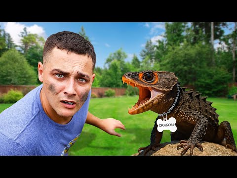 I Found A Dragon and Kept it as a PET… 