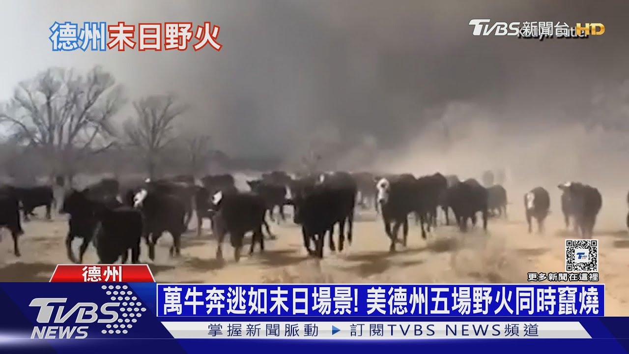 萬牛奔逃如末日場景!美德州五場野火同時竄燒