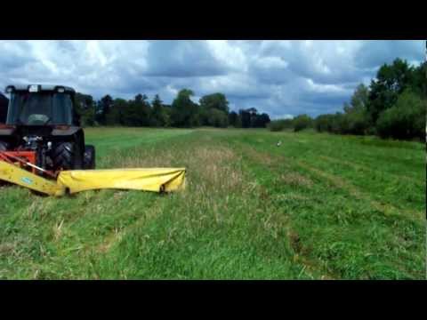 MF 3635 + Sipma Z184