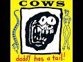 Cows - Chow