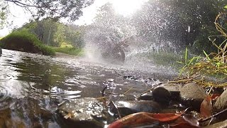 preview picture of video 'AUSTRALIA GOLDCOAST SUZUKI DR650 small creek crossing(part one)'