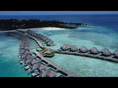 Videos del Baglioni Resort Maldives 5★ en Dhaalu Atoll, MaldivasVer MásVerPrecios16CerrarConsulta por Whatsapp 🇦🇷BookingTripadvisorExpediaAgodaTravelocityOrbitzTripSkyscannerDespegarKayakHotelesDestiniaTrivagoLastminuteTuiWotif